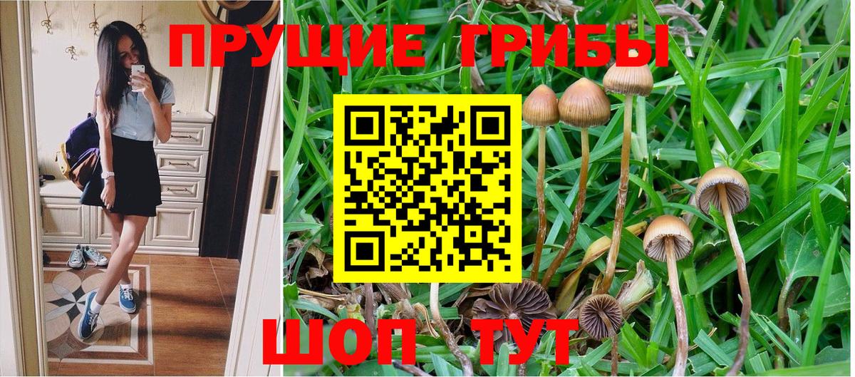 Псилоцибиновые грибы GOLDEN TEACHER  Вход с VPN  Новотроицк 